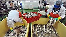 Верховный суд отклонил иск об отмене запрета на ввоз рыбы в Россию