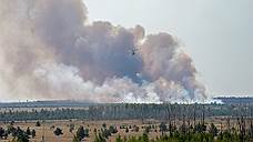 "Россия — мировой лидер по потерям лесов в основном из-за пожаров"