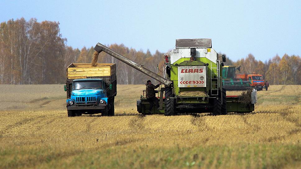 «120 млн тонн зерна в 2015 году — совершенно нереалистичная цифра»