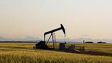 «При текущих ценах на нефть индустрия продолжит коллапсировать»
