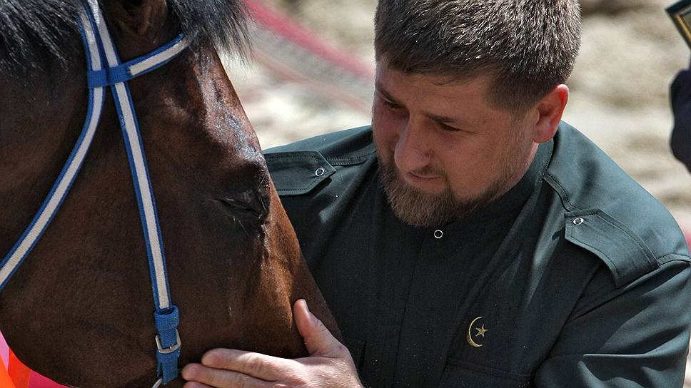 Как глава Чечни поступит с подаренным ему конем