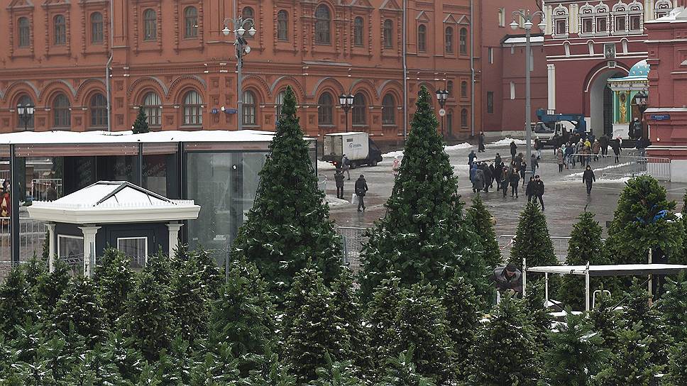 Пихта Новогодняя Купить В Москве Пихта Новогодняя Купить В Москве