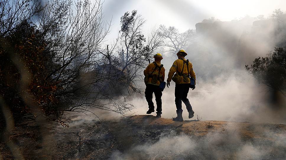 К каким последствиям привел лесной пожар в Калифорнии