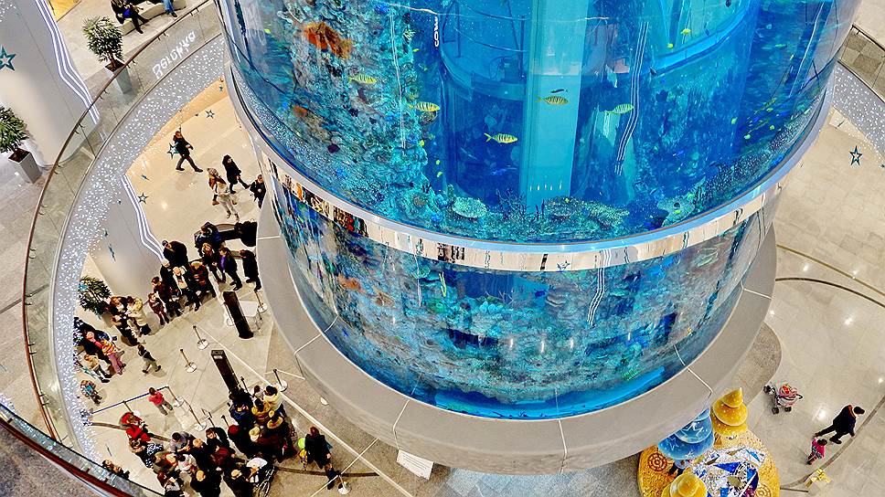 Как в торговом центре «Океания» треснул гигантский аквариум