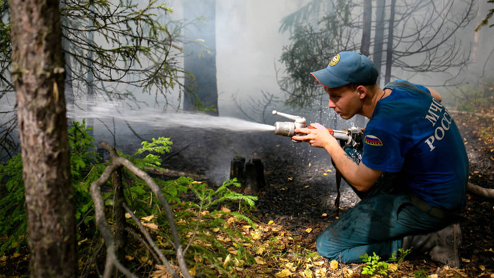 Насколько серьезна ситуация с природными возгораниями в Рязанской области