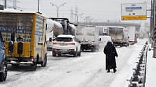 Москву занесло снегом