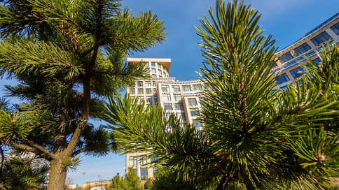 "Девелоперы стремятся предусмотреть во дворах новых домов много зелени" // Светлана Бардина — о благоустройстве