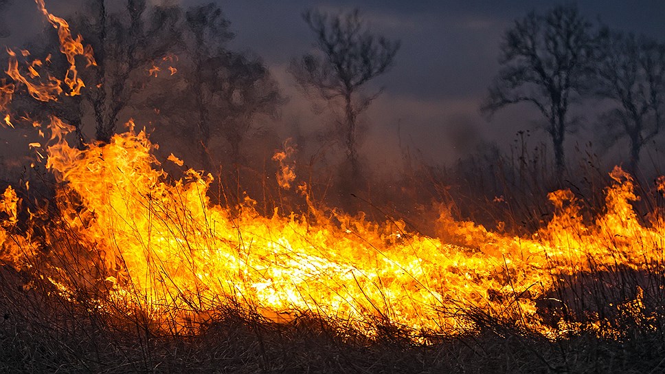 Лесные пожары в Челябинской области возникли из-за аномальной жары 