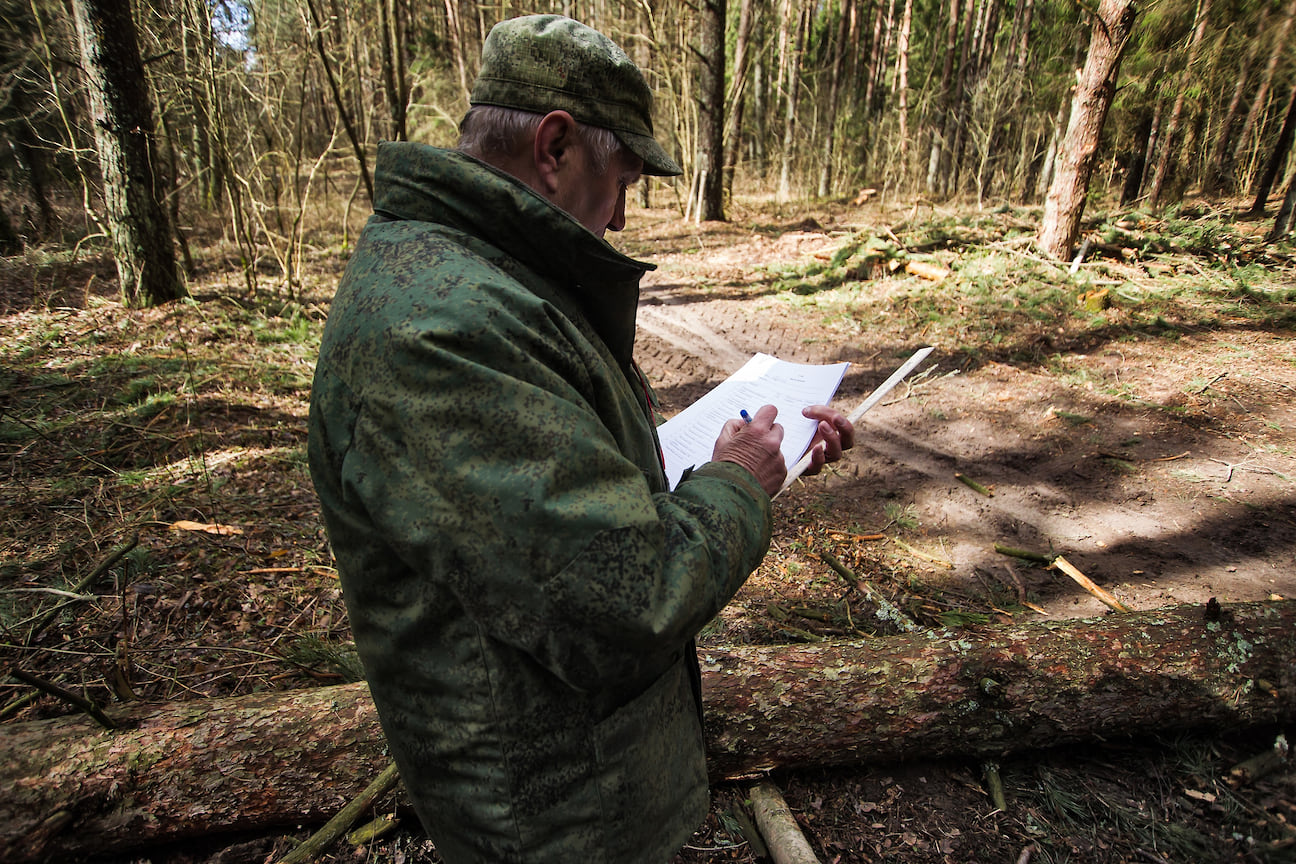 В управлении лесами считают, что реформа избавит лесников от бумажной волокиты и позволит сосредоточиться на патрулировании