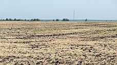 Аграриям Челябинской области возместят расходы на возврат заброшенной пашни в оборот