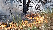 В четырех районах Челябинской области введен особый противопожарный режим