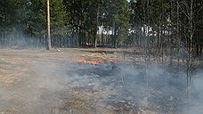 В Челябинской области возбуждено уголовное дело по факту природного пожара, уничтожившего сады