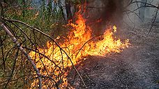 В Курганской области 14 домов сгорели из-за природного пожара