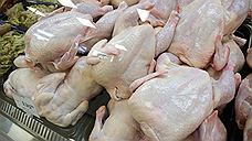 Продукцию «Чебаркульской птицы» запретили ввозить в Казахстан из-за сальмонеллы