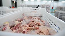 Власти Казахстана запретили продукцию Магнитогорской птицефабрики из-за сальмонеллы