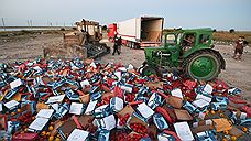 За четыре года в Челябинской области уничтожили более 414 тонн санкционных овощей и фруктов