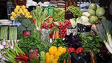 Магнитогорский предприниматель реализовал на Камчатке семена овощей вымышленных сортов