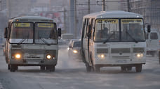 Челябинск вошел топ-3 российских мегаполисов по доле маршруток в структуре автобусного парка