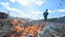 В Миассе лесные пожары охватили уже 270 гектаров