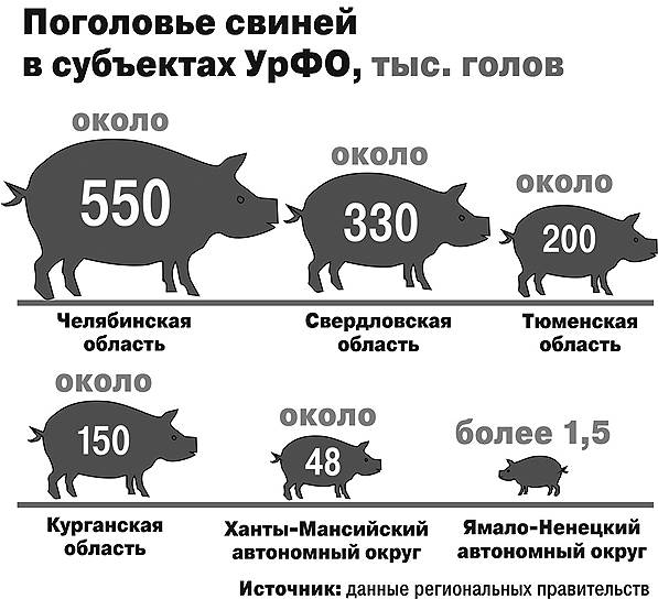 Свиноводство россии презентация