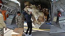 Вспышка сибирской язвы не повлияла на контракты «Ямальских оленей»