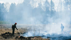 Тюменские леса чрезвычайно разгорелись