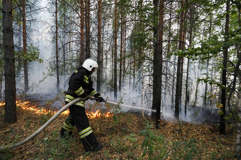 Тушение лесного пожара в окрестностях горы Волчихи.
