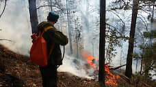 Югра направит специалистов для борьбы с пожарами лесах Иркутской области