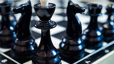 Кафедра шахматного искусства в УрГЭУ станет выпускающей