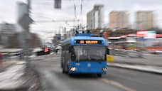 Минтранс предлагает закупить для Екатеринбурга 1,6 тыс. новых автобусов