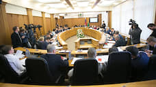 Депутатов Екатеринбурга не будут лишать мандата за ошибки в декларациях