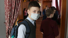 Свердловские школы готовы к переходу на дистанционное обучение из-за коронавируса