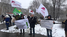 В Екатеринбурге прошел пикет против поправок в Конституцию