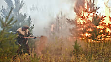 Пожарным не удается локализовать огонь в заповеднике «Денежкин камень»