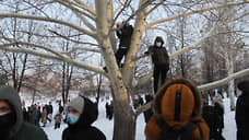 В Екатеринбурге участника шествия, который сидел на дереве, арестовали на четверо суток