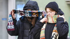 Январь 2021 года в Свердловской области стал самым холодным за 15 лет