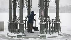 Дума Екатеринбурга раскритиковала мэрию за некачественную уборку снега
