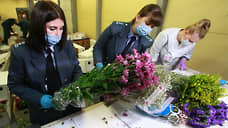 В Екатеринбург к 8 марта доставили 7 млн тюльпанов