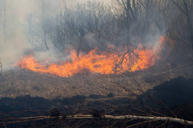 Лесные пожары в Тюменской области
