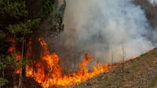 Генпрокуратура выявила нарушения при тушении пожаров в тюменских лесах