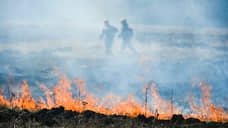 Второй пожар произошел в уральском заповеднике «Денежкин камень»