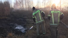 В Екатеринбурге продолжают действовать 17 очагов торфяного пожара