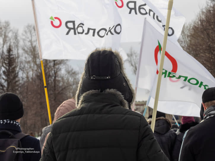 Свердловское молодежное «Яблоко» призвало партию выдвинуть Дунцову в президенты