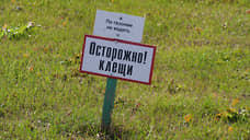 В Свердловской области от укусов клещей пострадал 181 житель