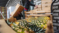 Поставки китайских ананасов на Урал выросли в три раза