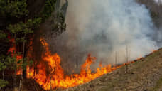 Рослесхоз предупредил о рисках пожаров в Тюменской области с конца апреля