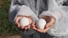 Стоимость яиц в Свердловской области может снизиться летом на 5%