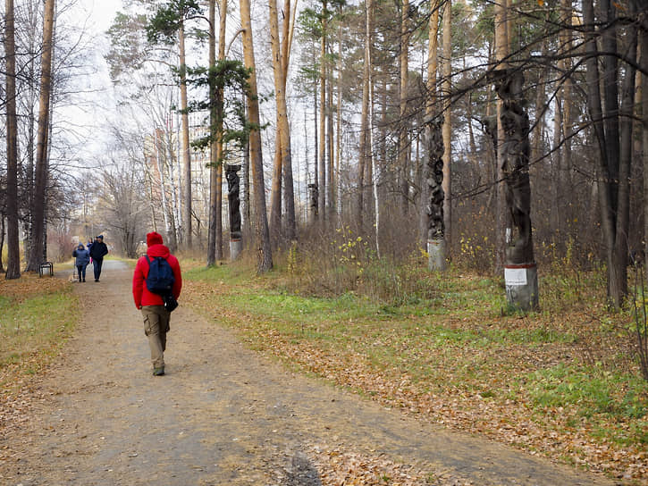 В ходе рейдов были выявлены уральцы, которые разжигали мангалы на территории Карасье-Озерского лесного парка, в Екатеринбургском лесопарковом лесничестве и Шарташском лесном парке