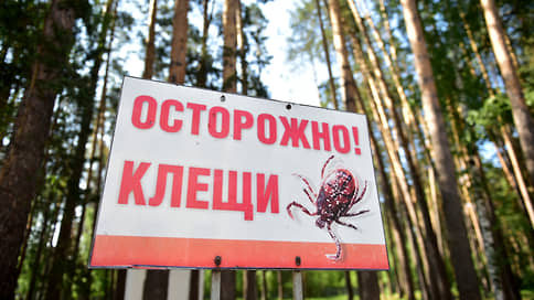 В Свердловской области зарегистрировано 5,7 тыс. пострадавших от клещей