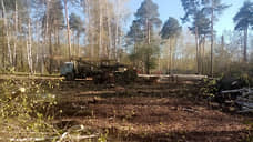 В роще у метро Уралмаш неизвестные вырубили деревья на площади 1 га